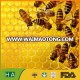 Multi-flower china raw honey yellow beeswax